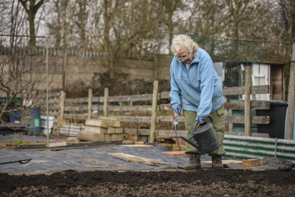 Brian and Lynne Neville, Woden Road Allotments, 2021 © Denise Maxwell