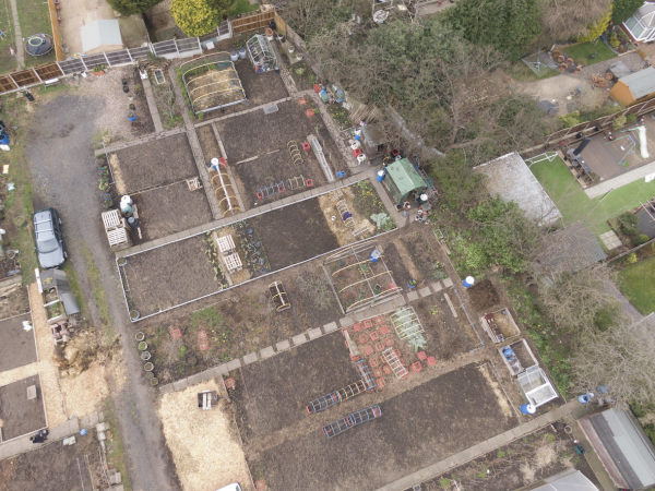Aerial view of the allotments, 2021 © Denise Maxwell