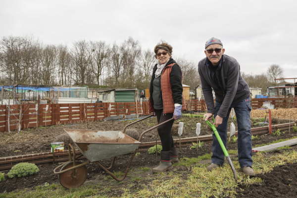 Z and J Debrowski, Woden Road Allotments, 2021 © Denise Maxwell